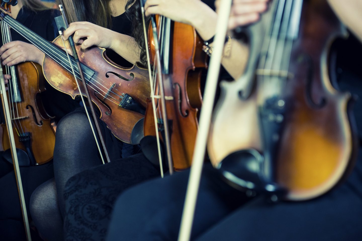 String musicians performing