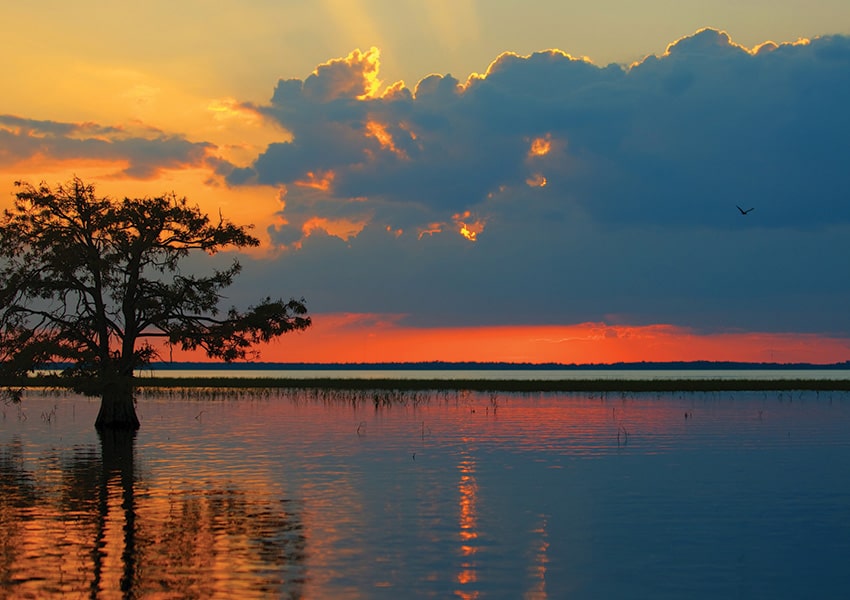 estero river