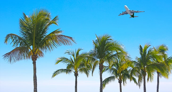 Airplane traveling over palm trees to Florida's premier destination for golf