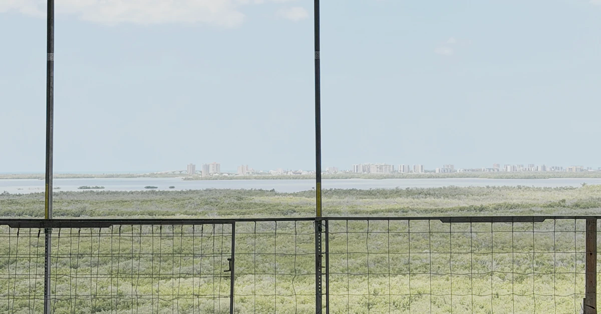 Balcony view over greenery, water, and distant city skyline