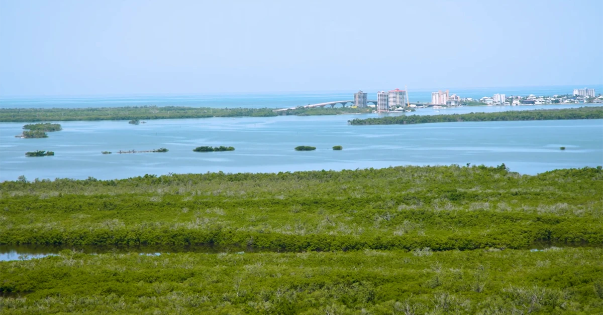Estero Bay Views from The Island at West Bay Club