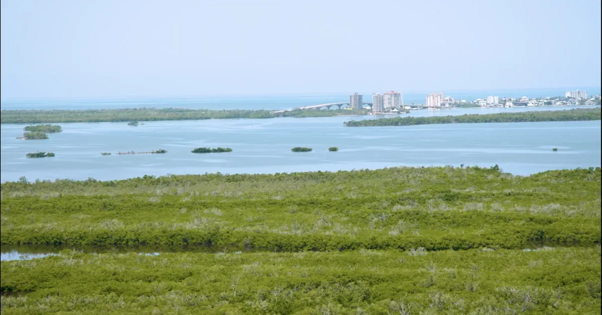 Iwb Estero Bay View